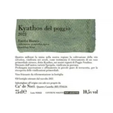 Ca de Noci Emilia Vino Frizzante Spergola Kyathos Del Poggio Bianco