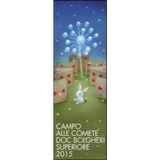 Campo Alle Comete Bolgheri Superiore