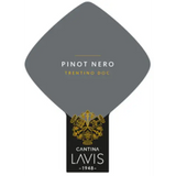 Cantina Lavis Pinot Nero