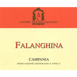 Cantine Antonio Caggiano Falanghina