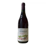 Cara Sur Pergolas Criollas Tintas Valle De Calingasta