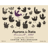 Carter Mollenhauer Cinsault