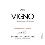 Carter Mollenhauer Vigno Vignadores De Carignan Truquilemu
