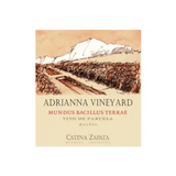 Catena Zapata Adrianna Vineyard Mundus Bacillus Terrae Malbec