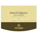 Cesari Pinot Grigio Delle Venezie