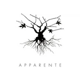 Chateau Puech Redon Apparente Blanc