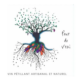 Chateau Puech Redon Petillant Naturel Pour de Vrai