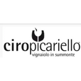 Ciro Picariello Taurasi O Pilota