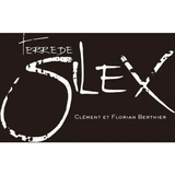 Clement et Florian Berthier Coteaux Du Giennois Terre De Silex