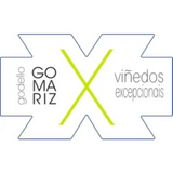 Coto de Gomariz Ribeiro Godello Gomariz X