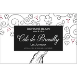 Domaine Blain Soeur et Frere Côte de Brouilly Les Jumeaux 2015