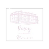 Domaine Camille Thiriet Coteaux Bourguignons Rosay