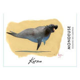 Domaine Des Albatros Vin de Savoie Mondeuse Karma