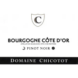 Domaine Georges Chicotot Bourgogne Pinot Noir