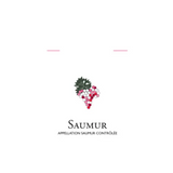 Domaine Guiberteau Saumur Les Moulins Rose