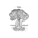 Domaine Jerome Bretaudeau Gaia Cuvee Ovoide Muscadet