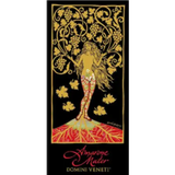Domìni Veneti Amarone della Valpolicella Classico Mater