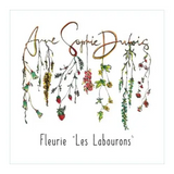 Dubois Fleurie Les Labourons