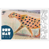 Echeverria Wild Pet Nat Valle del Curico