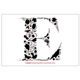 Elderton E Series Shiraz Cabernet Sauvignon