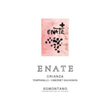 Enate Somontano Crianza