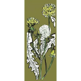 Enlightenment Wines Meadery Memento Mori Other Than Standard Honey Dandelion Wine