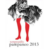 Esencia Rural Toledo Tempranillo Pampaneo