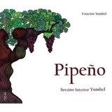 Estacion Yumbel Pipeno