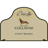 Eugenio Collavini Friuli Pinot Grigio