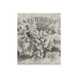 Fabbrica di San Martino Costa Toscana Arcipressi Rosso