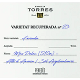 Familia Torres Penedes Forcada 2016