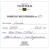 Familia Torres Penedes Forcada 2019