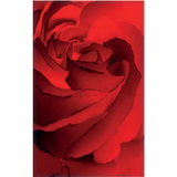 Feudi del Pisciotto Terre Siciliane Merlot