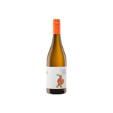 Fio Wines Mosel Glou Glou