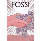 Fossi Rosso Di Toscana Vino Da Tavola