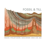 Fossil & Till Seneca Lake Pet-Nat Riesling