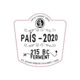 Garage Wine Co. Single Ferment Series Pais 215 BC Ferment Cauquenes