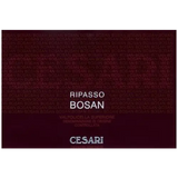 Gerardo Cesari Ripasso Bosan
