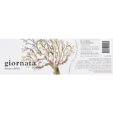 Giornata Paso Robles Il Campo Bianco