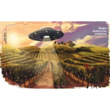 Grape Abduction Company Rose