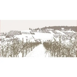 Gush Etzion Blessed Valley Red