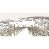 Gush Etzion Dry Red