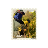 Heya Wines Nour White