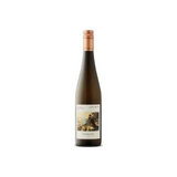 Hiedler Kamptal Gruner Veltliner Phenomenon