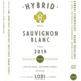 Hybrid Sauvignon Blanc