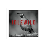 Idlewild The Bird Flora & Fauna