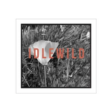 Idlewild The Flower Rose