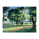 Johan Vineyards Pinot Noir