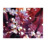 Johan Vineyards Sparkling Pinot Noir Petillant Naturel Van Duzer Corridor