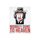 Julien Pineau VDF Rouge Monkey Gone to Heaven